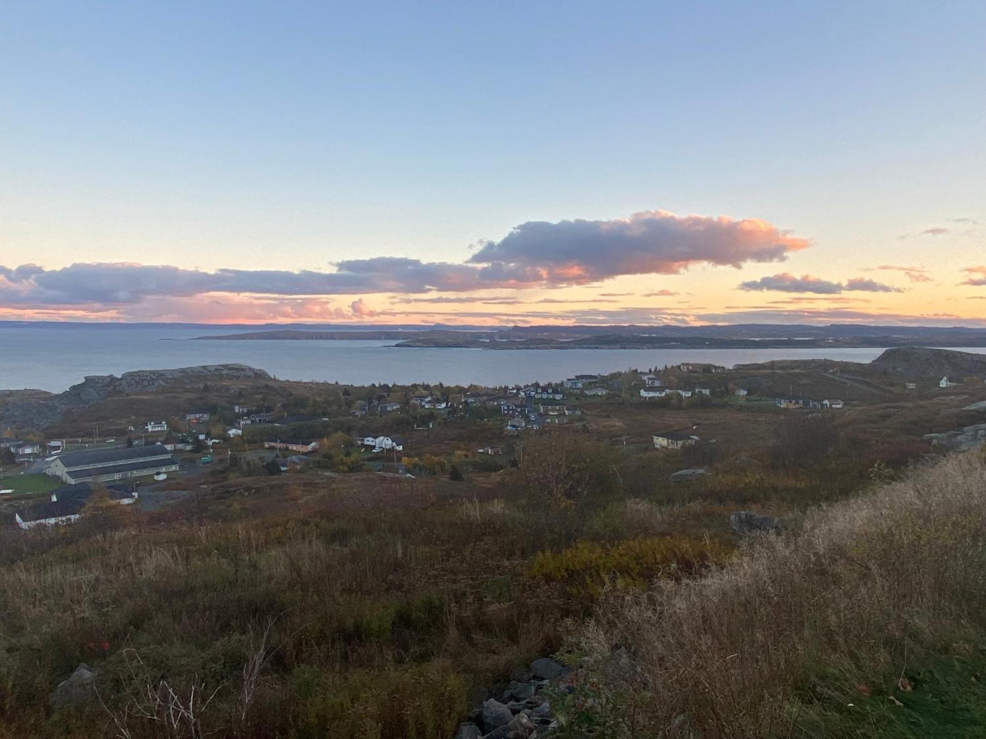 Belle Vue Cottage - Upper Island Cove Buitenkant foto